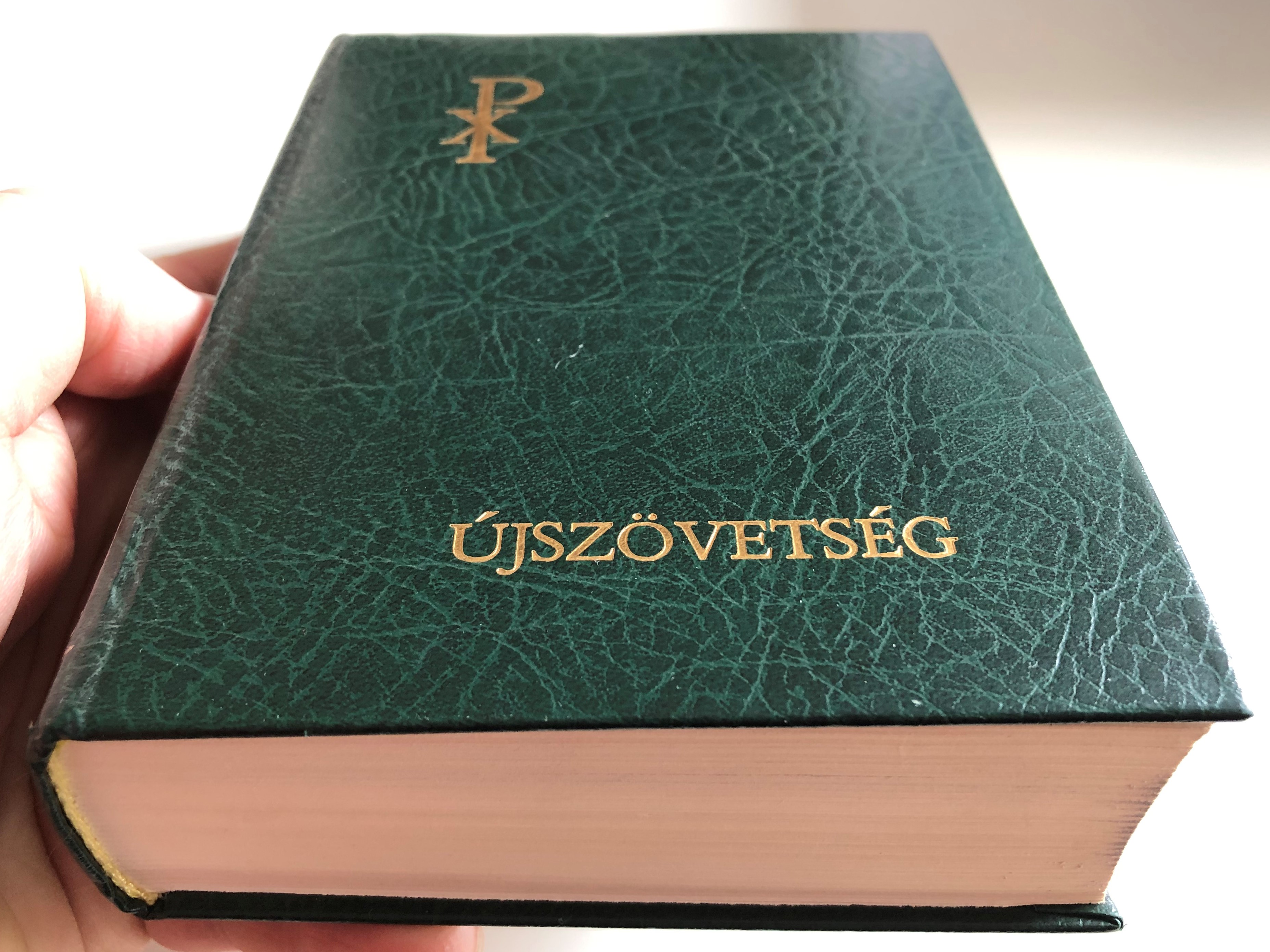 Hungarian Catholic New Testament 1.JPG